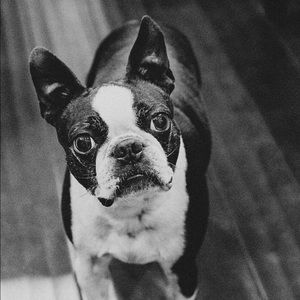 Meet your Posher, Judy